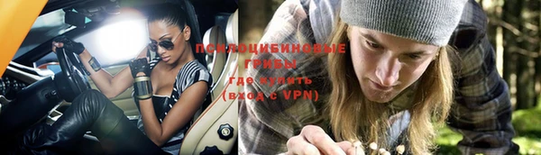 дживик Беломорск